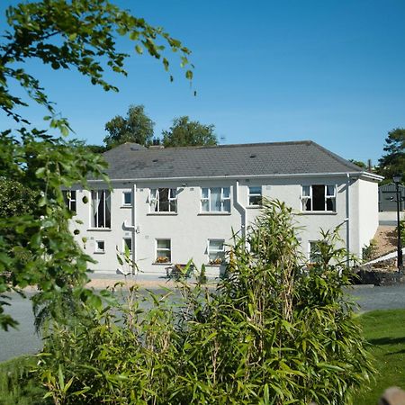 Grove House Bed & Breakfast Carlingford Eksteriør billede