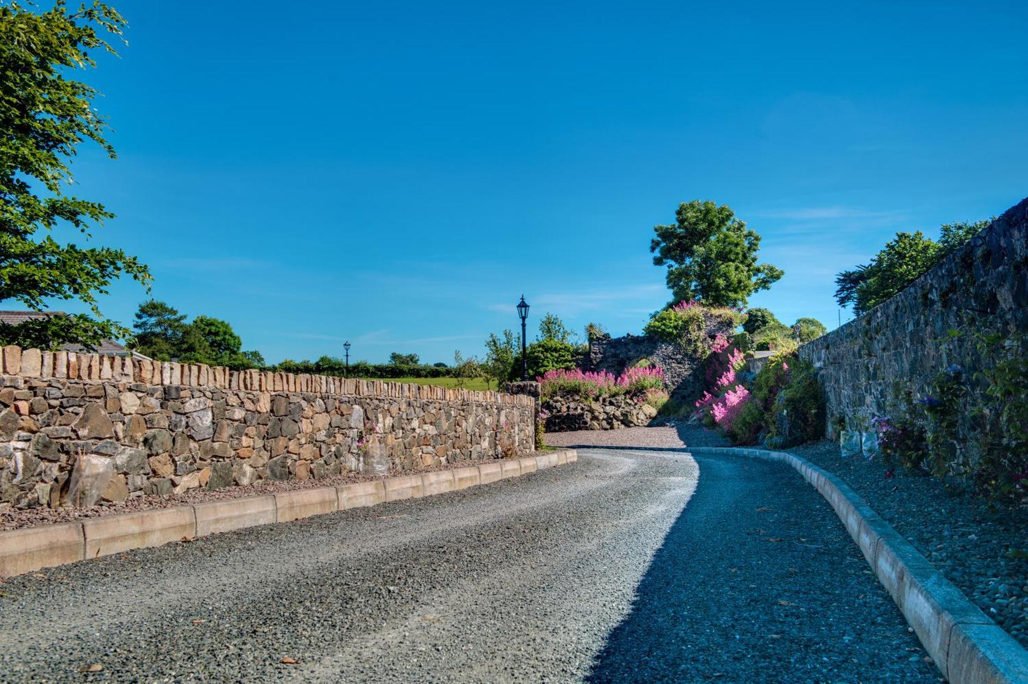 Grove House Bed & Breakfast Carlingford Eksteriør billede