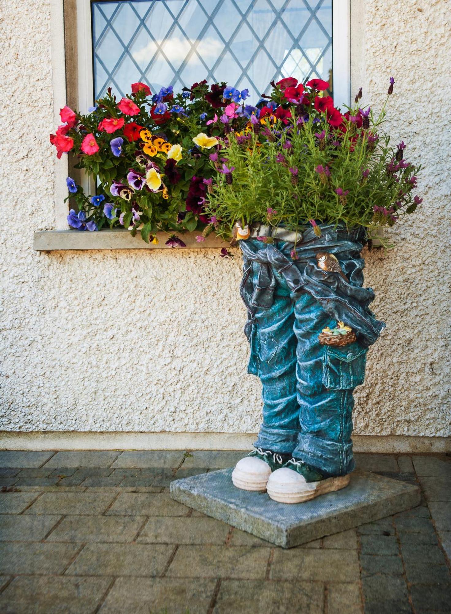 Grove House Bed & Breakfast Carlingford Eksteriør billede