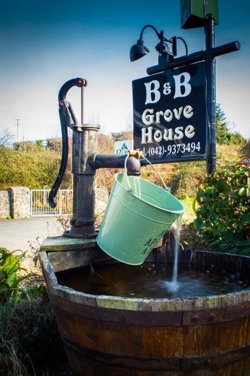 Grove House Bed & Breakfast Carlingford Eksteriør billede
