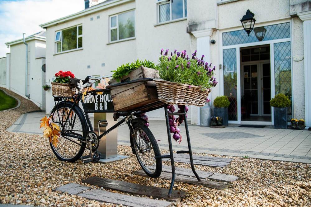 Grove House Bed & Breakfast Carlingford Eksteriør billede