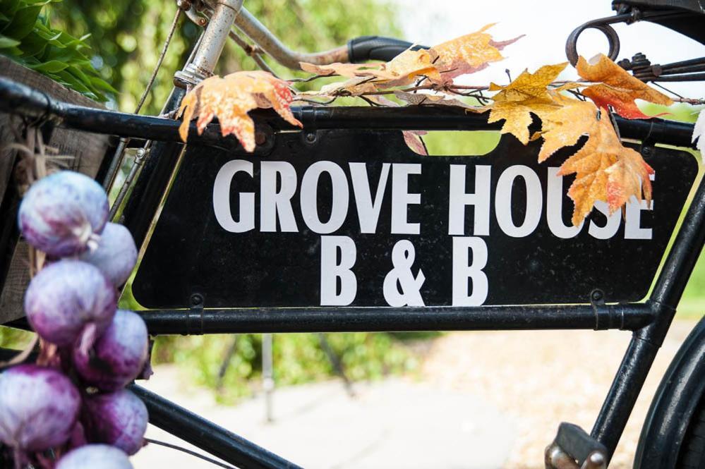 Grove House Bed & Breakfast Carlingford Eksteriør billede